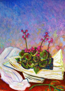 Le mie violette